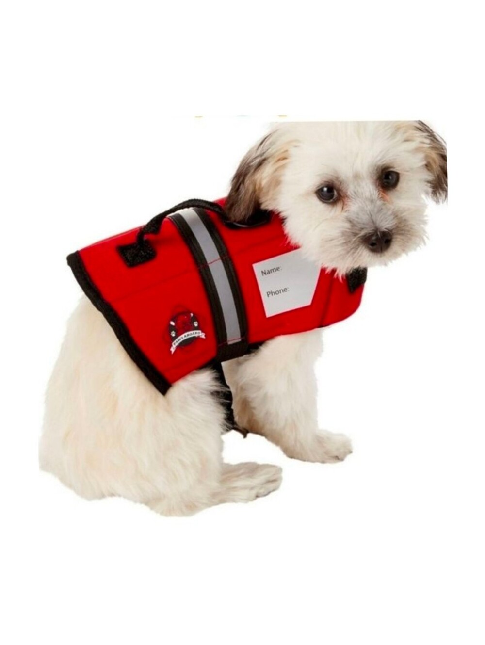 Paws Aboard Dog Reflective Floating Life Jacket